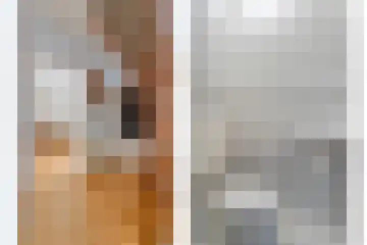 Tieberije 7 Gramsbergen thumbnail 12