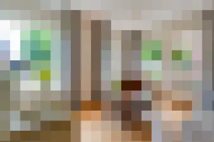 Tieberije 7 Gramsbergen thumbnail 16