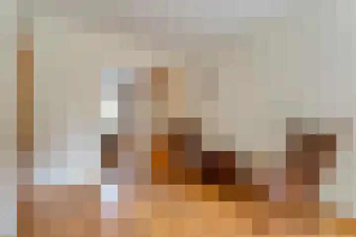 Tieberije 7 Gramsbergen thumbnail 18