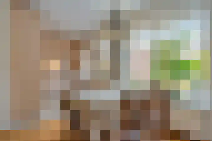 Tieberije 7 Gramsbergen thumbnail 20