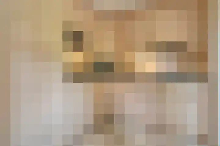 Tieberije 7 Gramsbergen thumbnail 22
