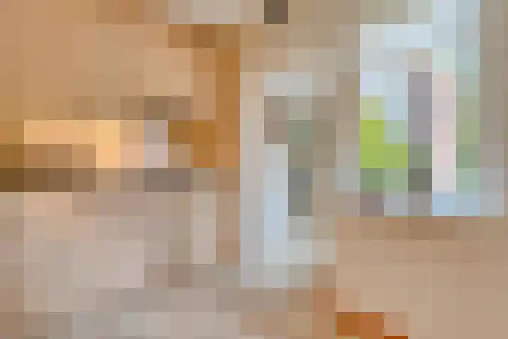 Tieberije 7 Gramsbergen thumbnail 23