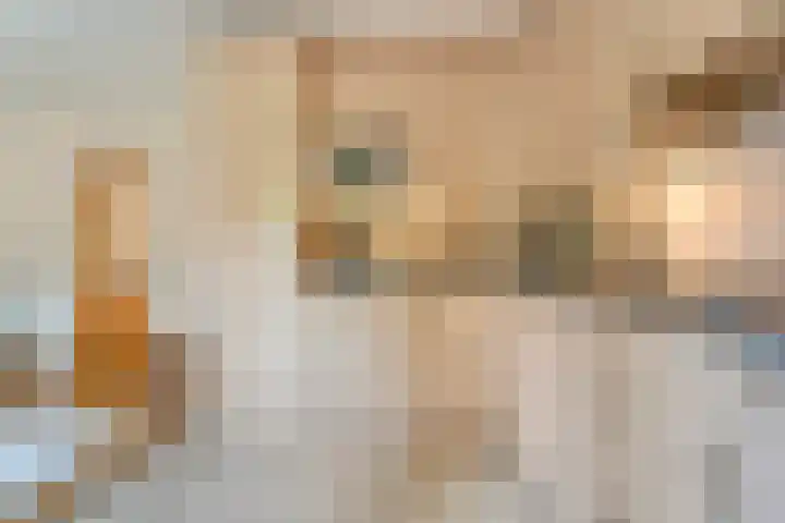 Tieberije 7 Gramsbergen thumbnail 24