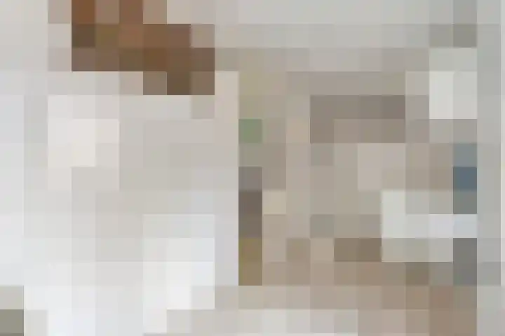 Tieberije 7 Gramsbergen thumbnail 25