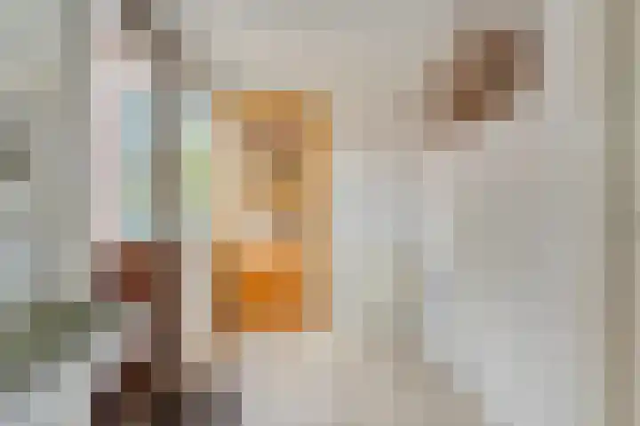 Tieberije 7 Gramsbergen thumbnail 26