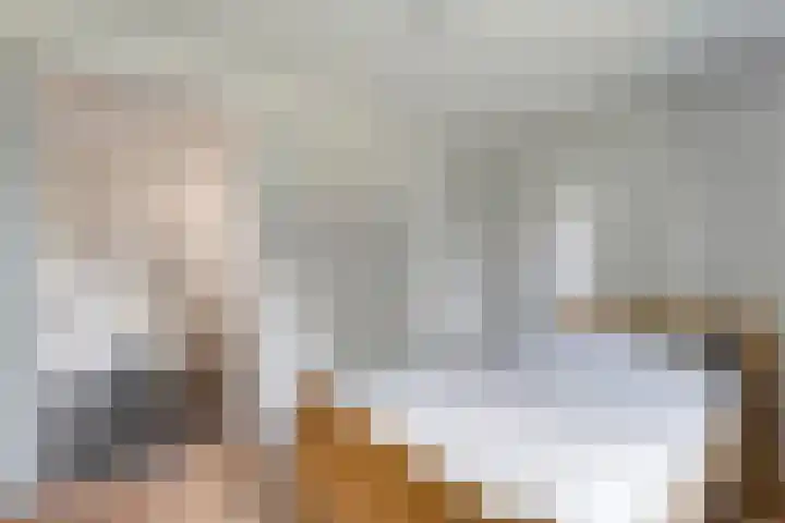 Tieberije 7 Gramsbergen thumbnail 27