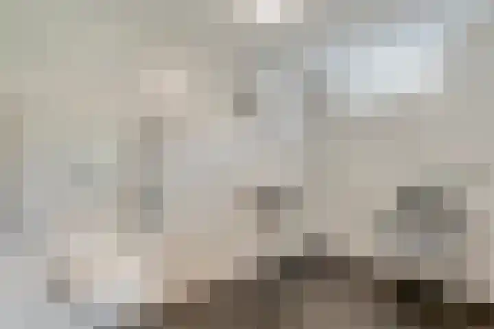 Tieberije 7 Gramsbergen thumbnail 29