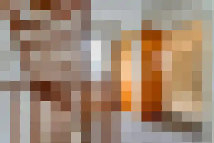 Tieberije 7 Gramsbergen thumbnail 32