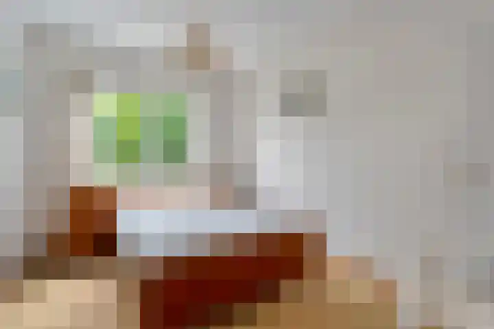 Tieberije 7 Gramsbergen thumbnail 38