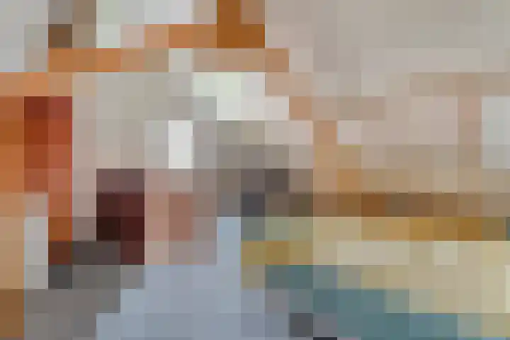 Tieberije 7 Gramsbergen thumbnail 44