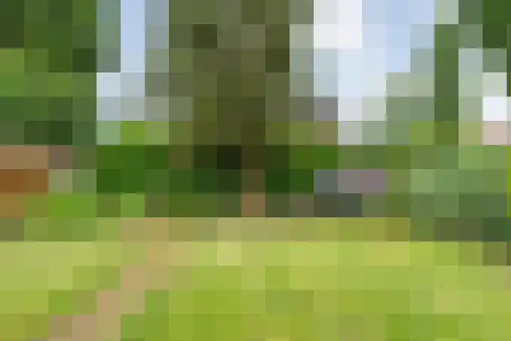 Tieberije 7 Gramsbergen thumbnail 47