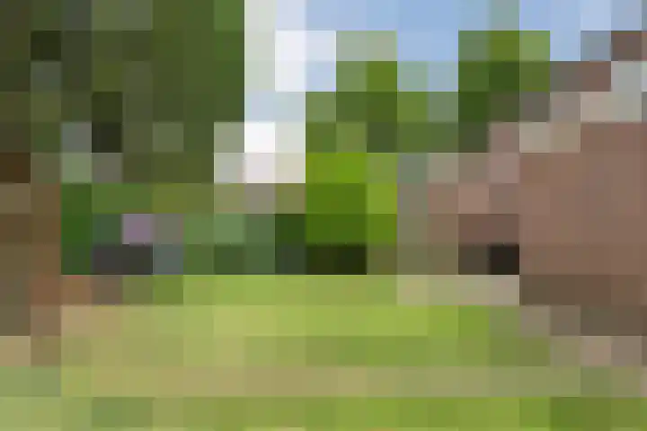 Tieberije 7 Gramsbergen thumbnail 51