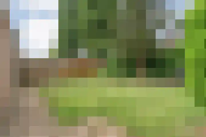 Tieberije 7 Gramsbergen thumbnail 53