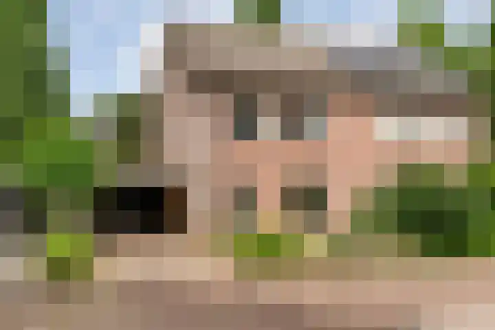 Tieberije 7 Gramsbergen thumbnail 58