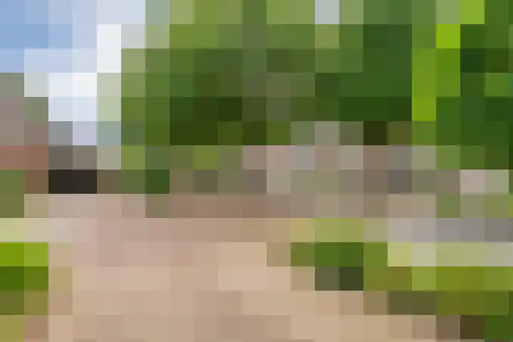 Tieberije 7 Gramsbergen thumbnail 6