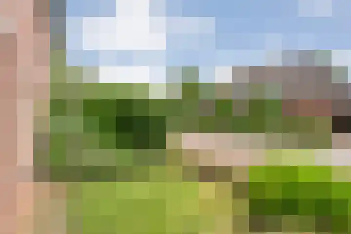 Tieberije 7 Gramsbergen thumbnail 7