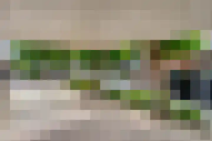 Tieberije 7 Gramsbergen thumbnail 9