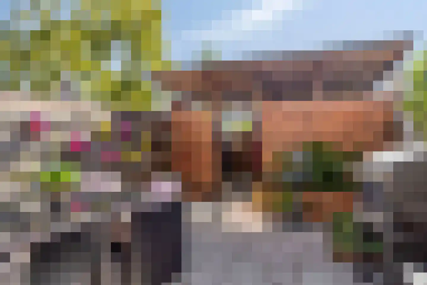 Tieflandstraat 54 Hoogvliet Rotterdam thumbnail 14