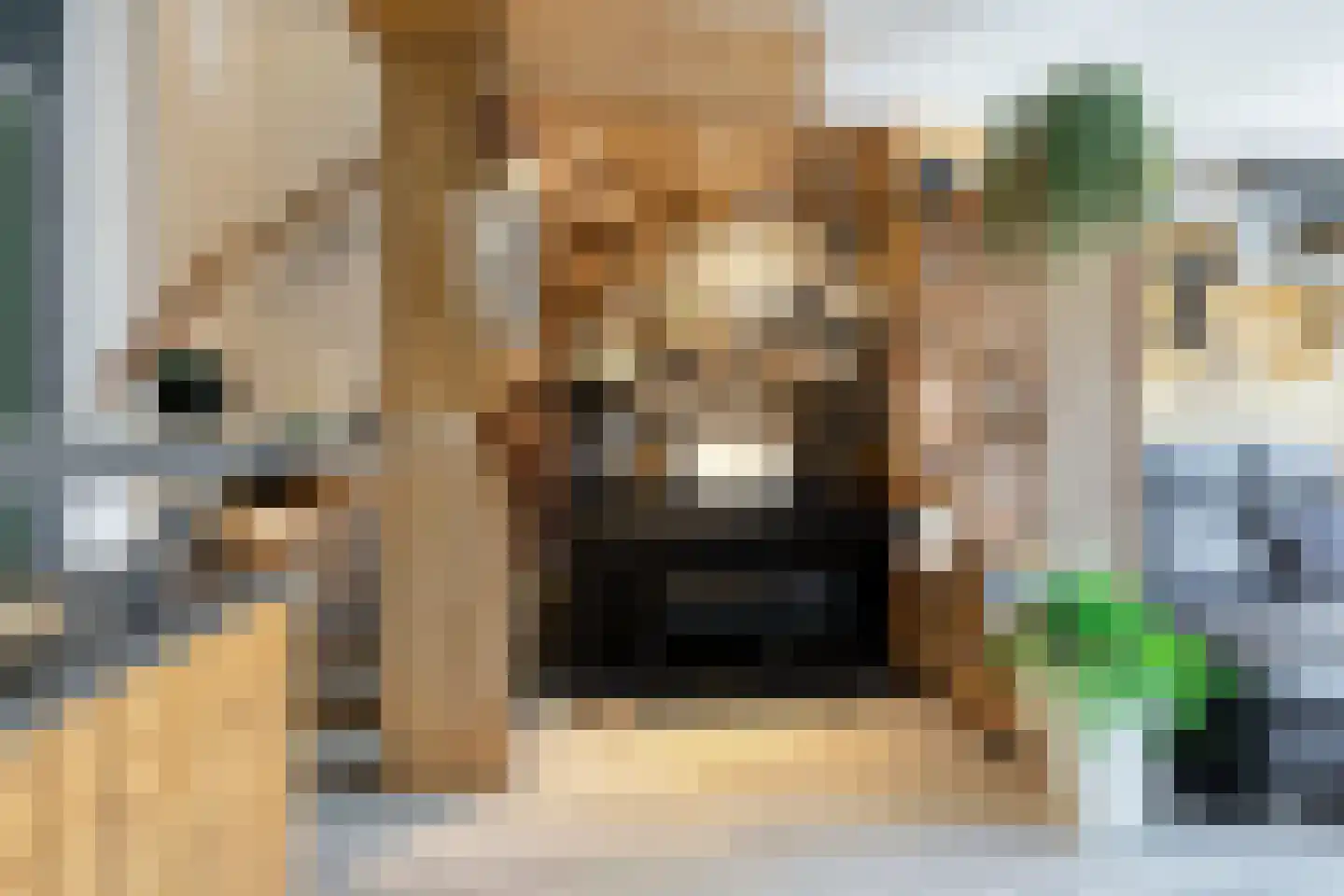 Tieflandstraat 54 Hoogvliet Rotterdam thumbnail 7