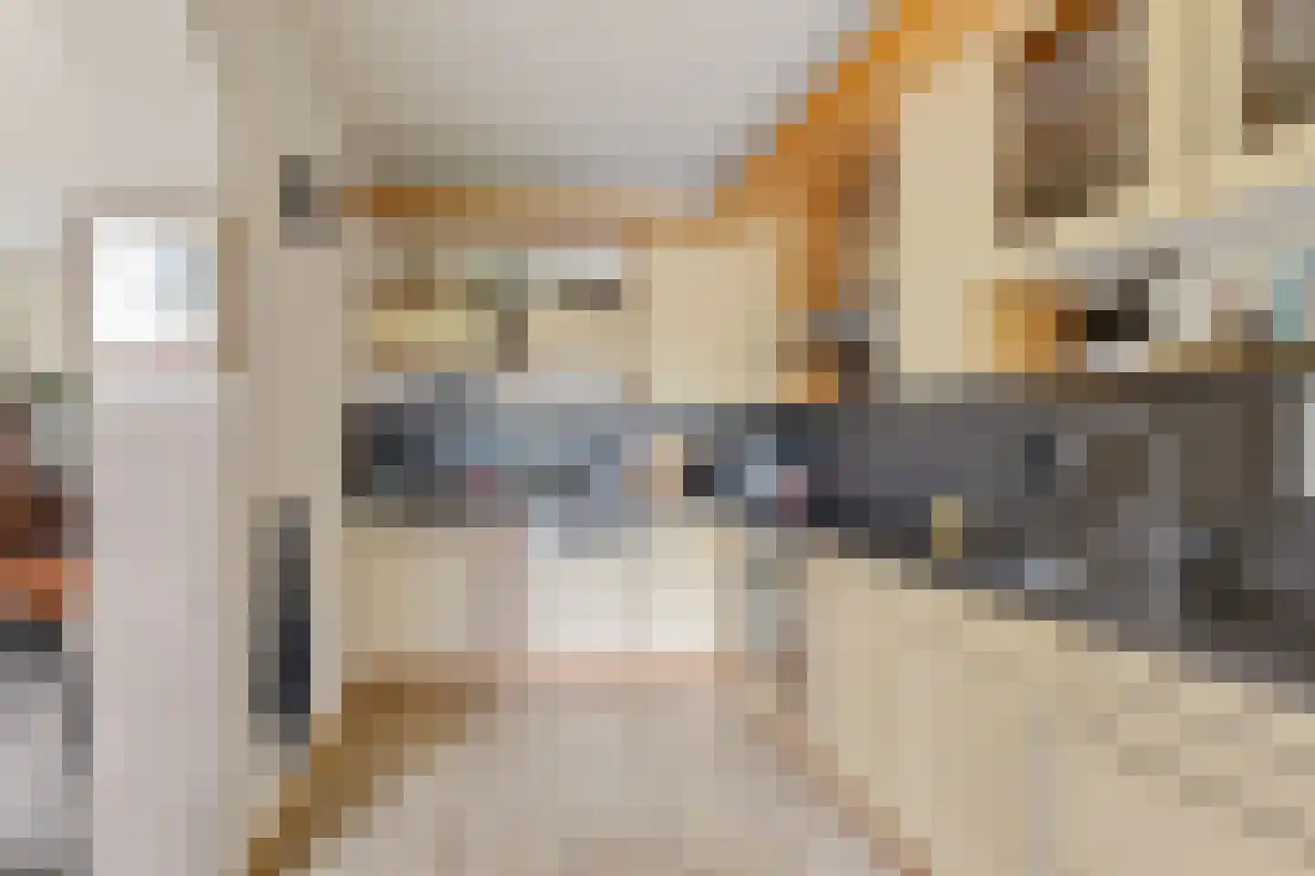 Tiekamp 27 Drouwen thumbnail 15