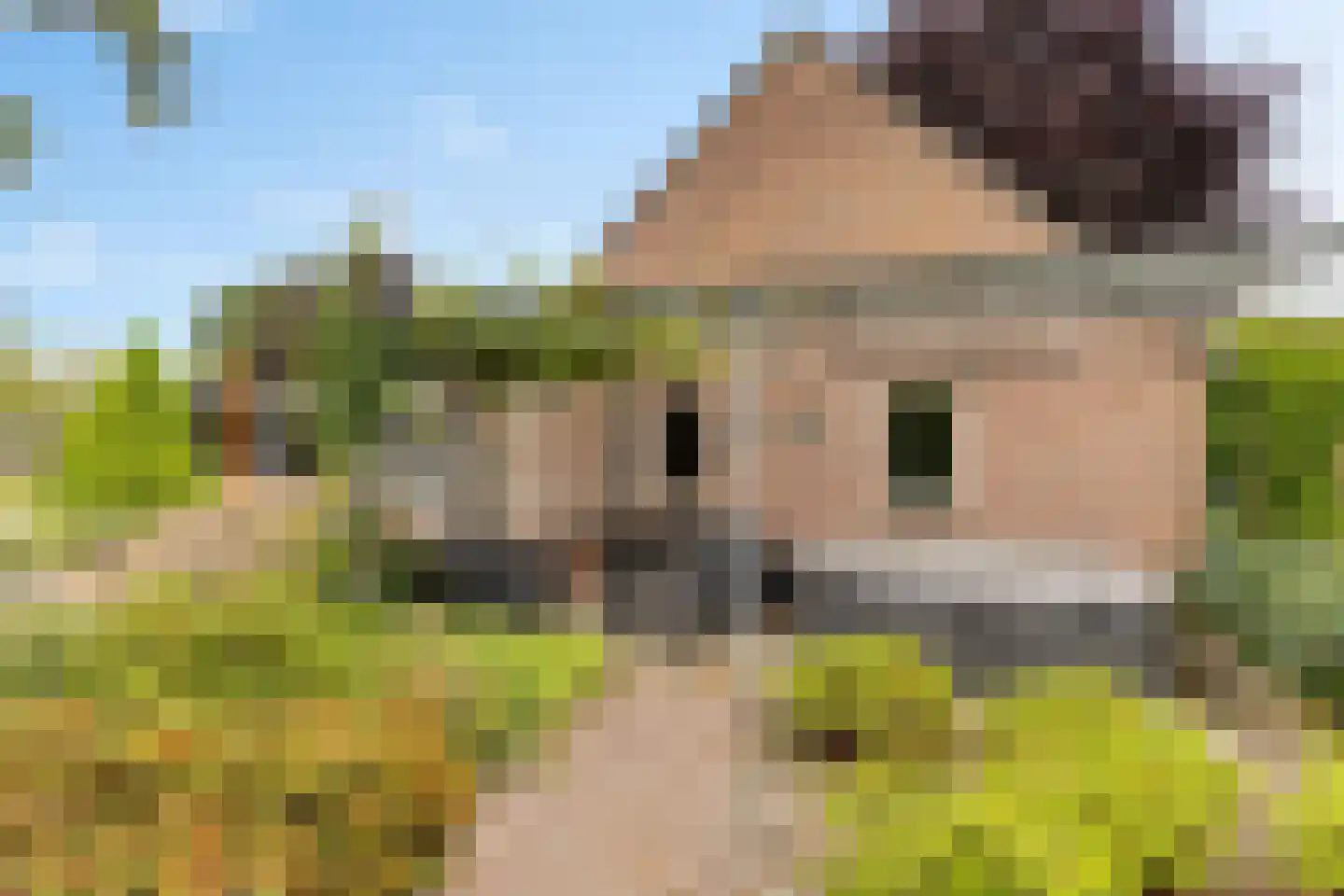 Tiekamp 27 Drouwen thumbnail 31