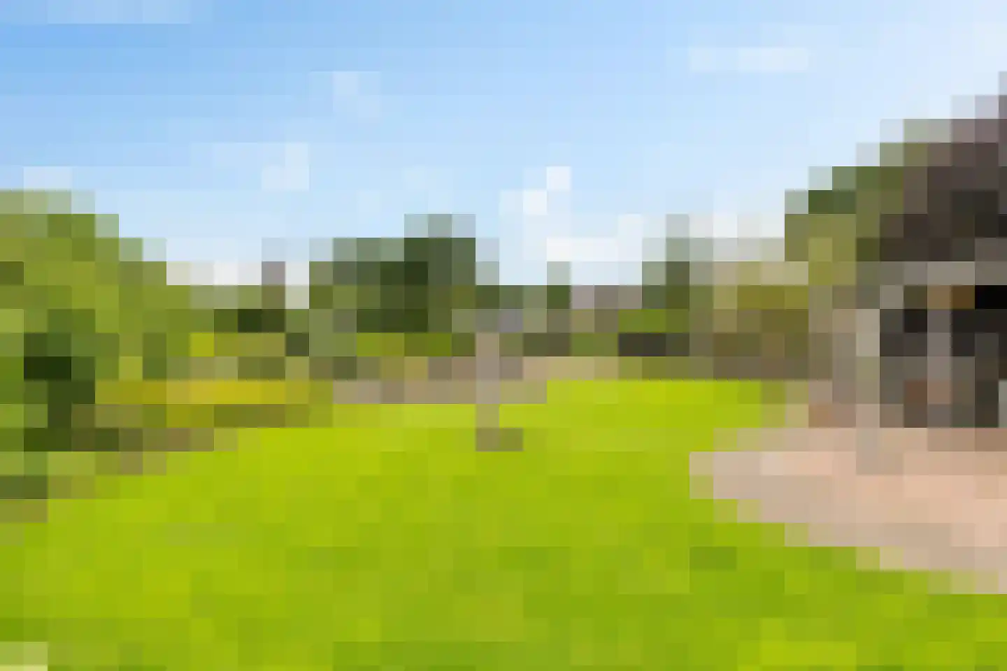 Tiekamp 27 Drouwen thumbnail 32