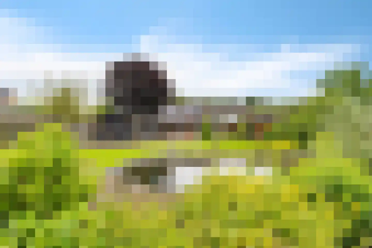 Tiekamp 27 Drouwen thumbnail 34