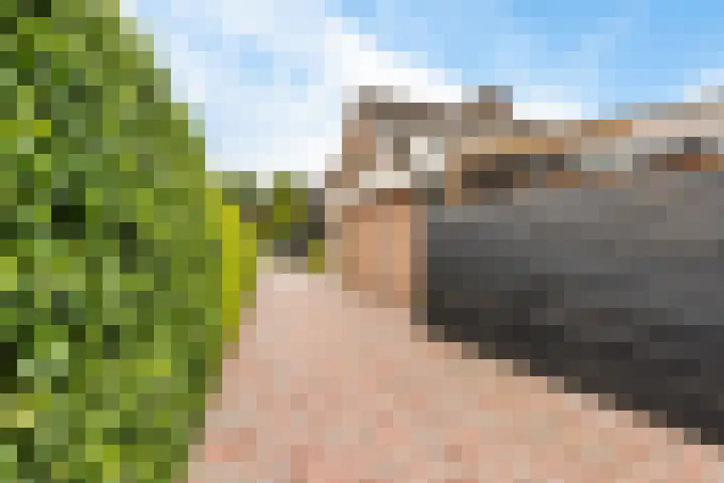 Tiekamp 27 Drouwen thumbnail 44