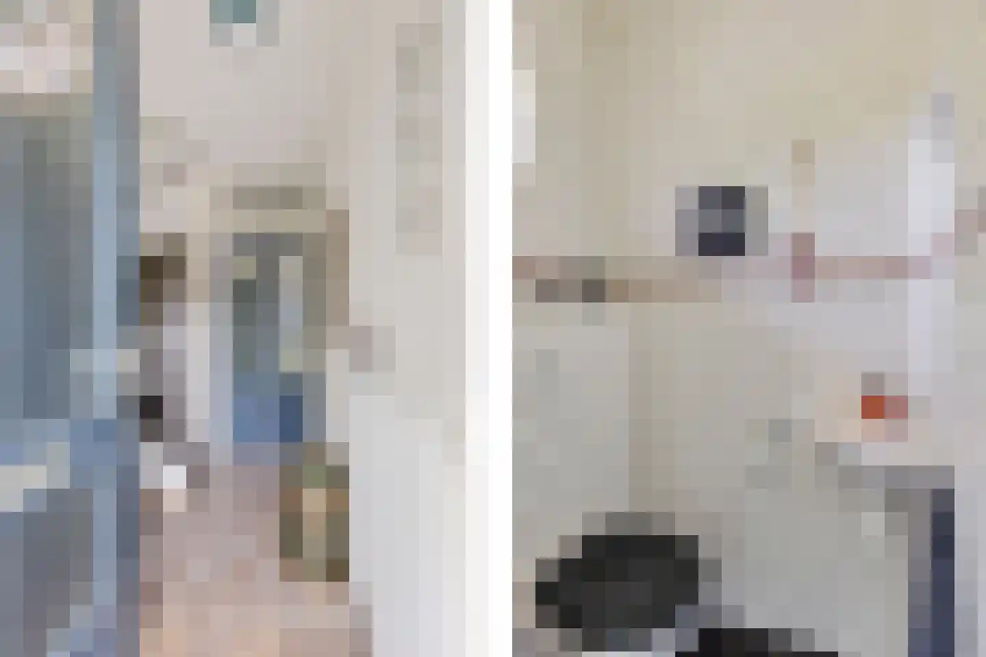 Tiekamp 27 Drouwen thumbnail 5