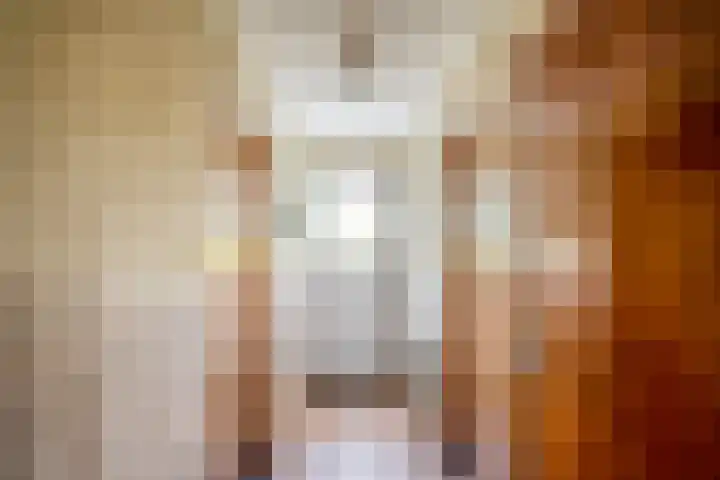 Tiekenveenweg 33 Overdinkel thumbnail 19