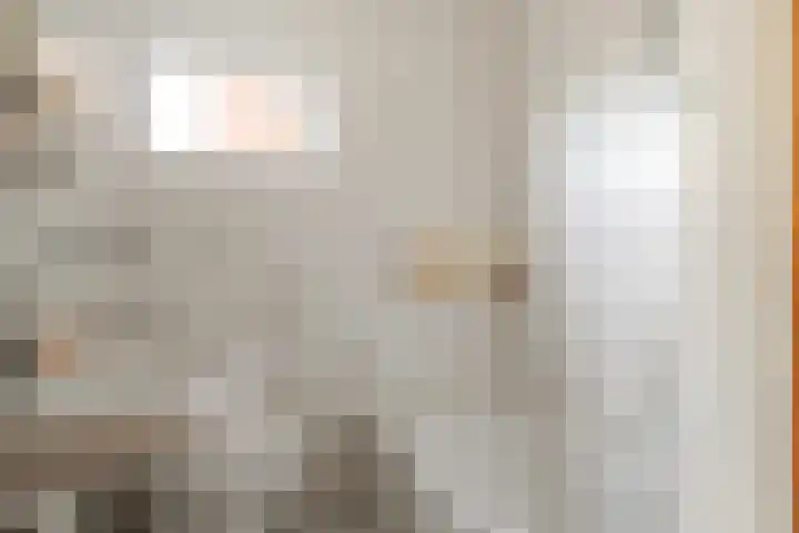 Tiekenveenweg 33 Overdinkel thumbnail 22