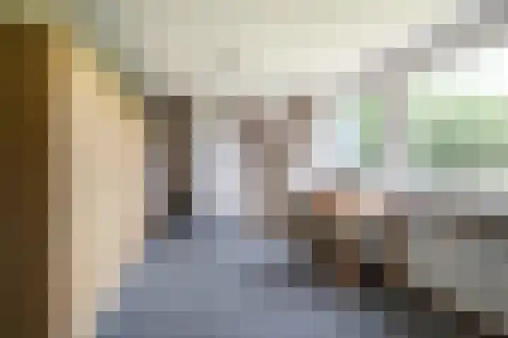 Tiekenveenweg 33 Overdinkel thumbnail 29