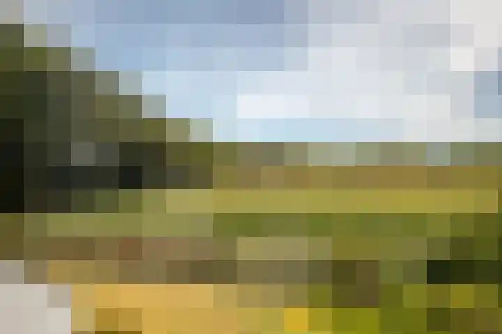 Tiekenveenweg 33 Overdinkel thumbnail 30
