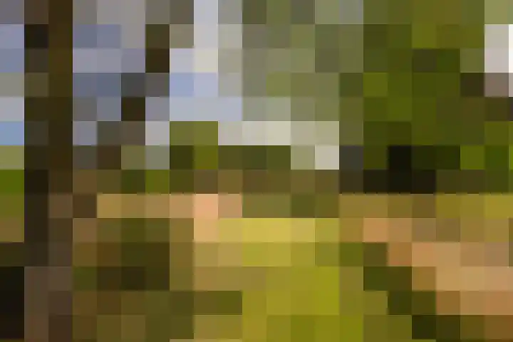 Tiekenveenweg 33 Overdinkel thumbnail 34