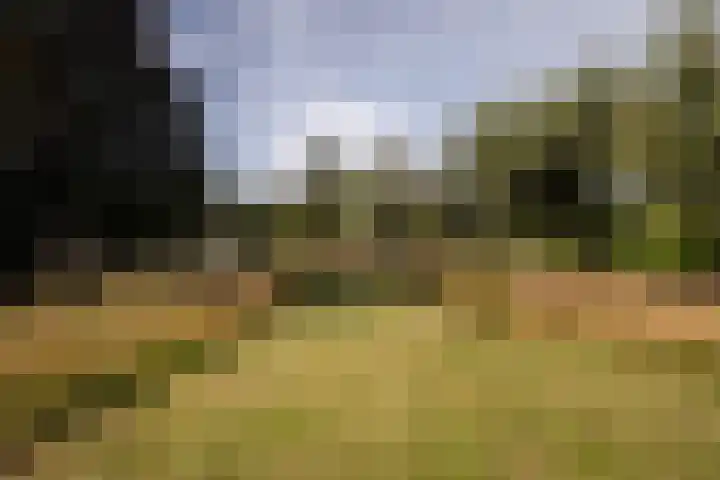 Tiekenveenweg 33 Overdinkel thumbnail 35