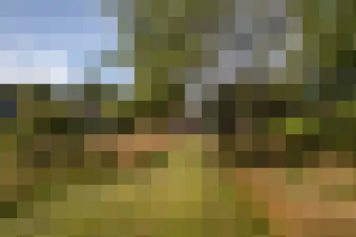 Tiekenveenweg 33 Overdinkel thumbnail 36