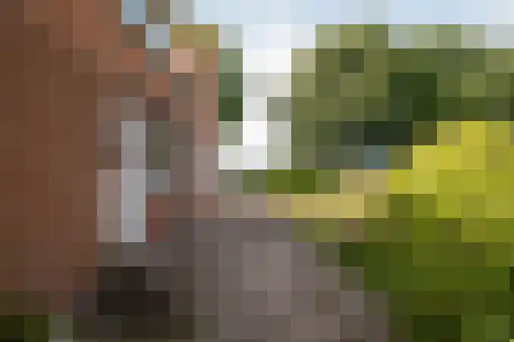 Tiekenveenweg 33 Overdinkel thumbnail 37