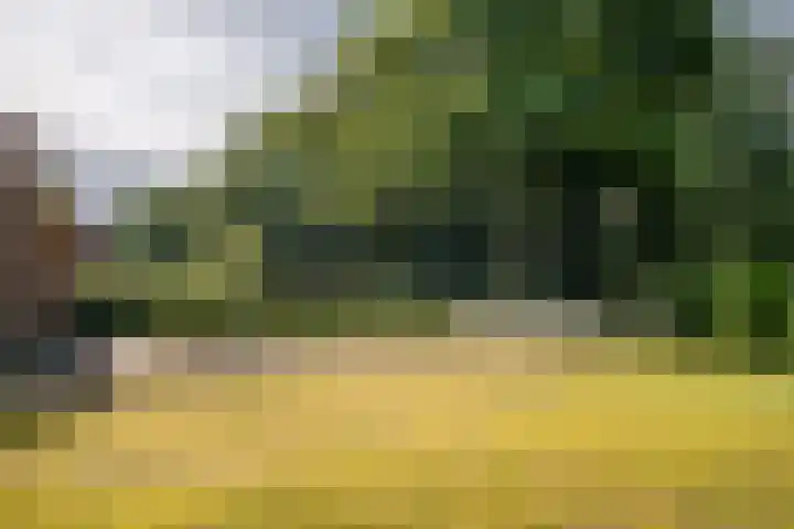Tiekenveenweg 33 Overdinkel thumbnail 38