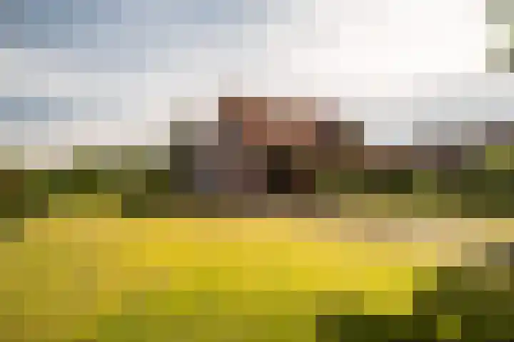 Tiekenveenweg 33 Overdinkel thumbnail 4