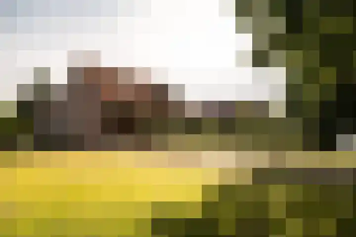 Tiekenveenweg 33 Overdinkel thumbnail 40