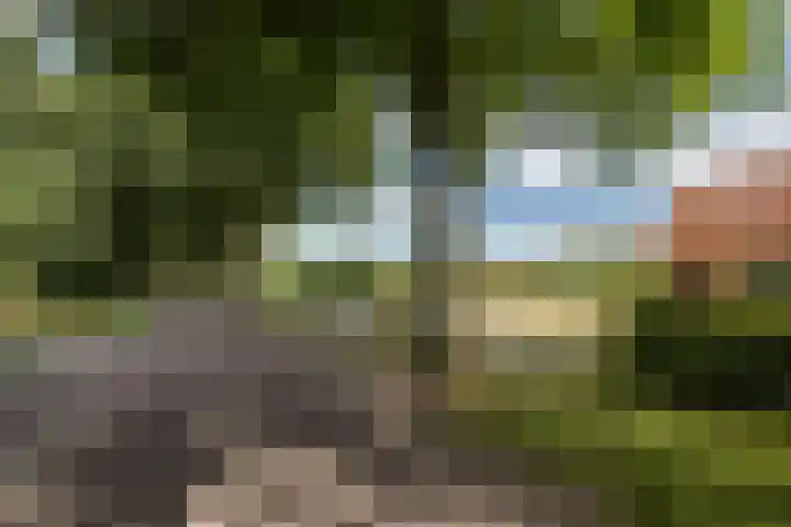 Tiekenveenweg 33 Overdinkel thumbnail 41
