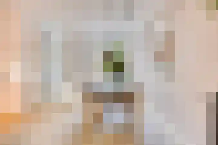 Tielekeshoeven 13 Rosmalen thumbnail 11