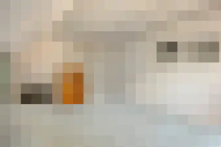 Tielekeshoeven 13 Rosmalen thumbnail 21