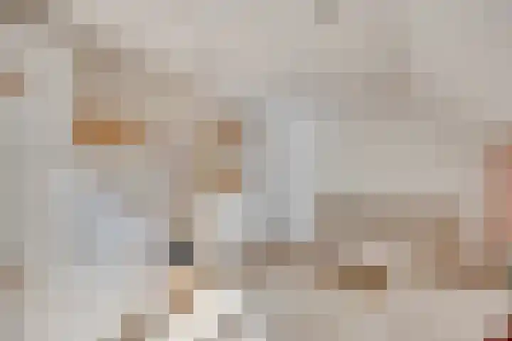 Tielekeshoeven 13 Rosmalen thumbnail 23