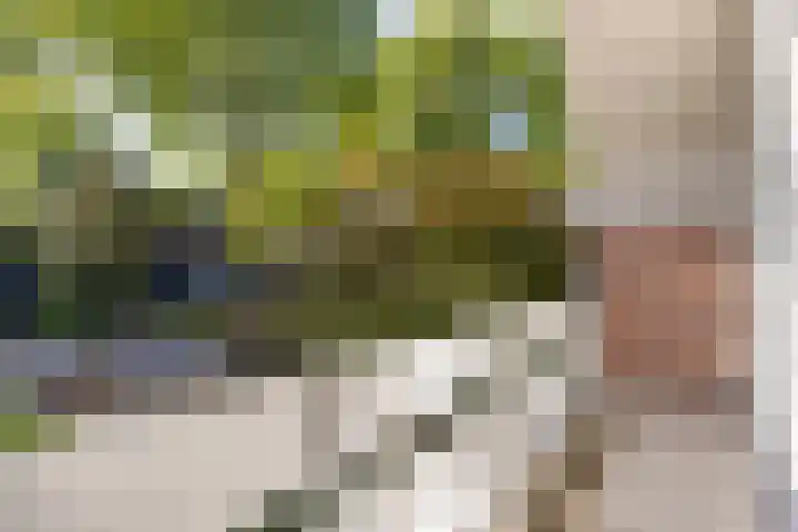 Tielekeshoeven 13 Rosmalen thumbnail 24