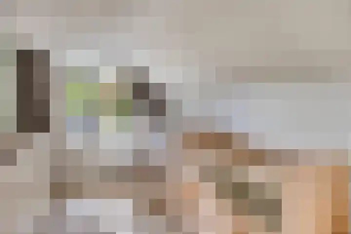 Tielekeshoeven 13 Rosmalen thumbnail 25