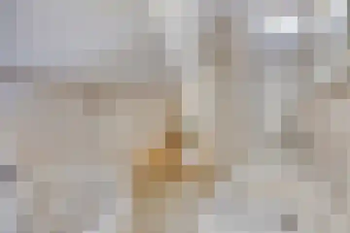 Tielekeshoeven 13 Rosmalen thumbnail 27