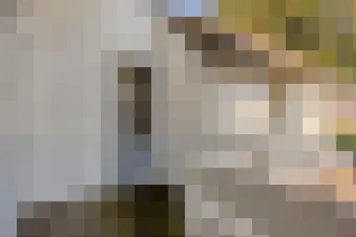 Tielekeshoeven 13 Rosmalen thumbnail 33