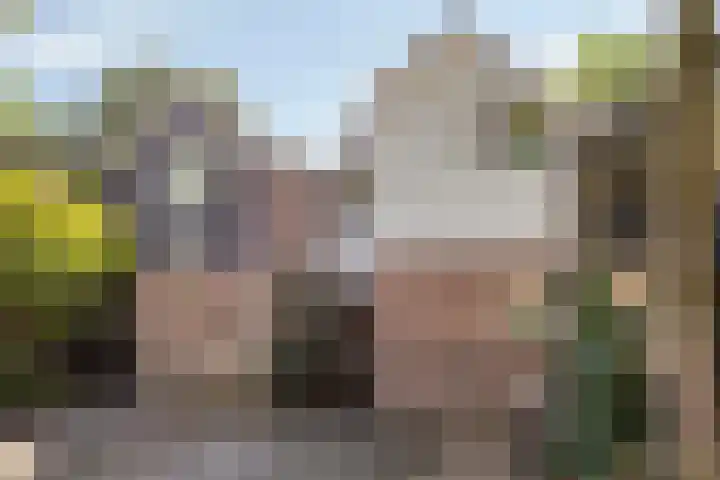 Tielekeshoeven 13 Rosmalen thumbnail 35