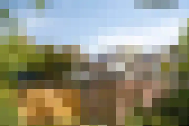 Tielekeshoeven 13 Rosmalen thumbnail 36